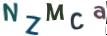 Obrázková CAPTCHA